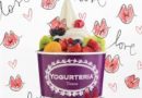 Best Yogurt – Yogurteria